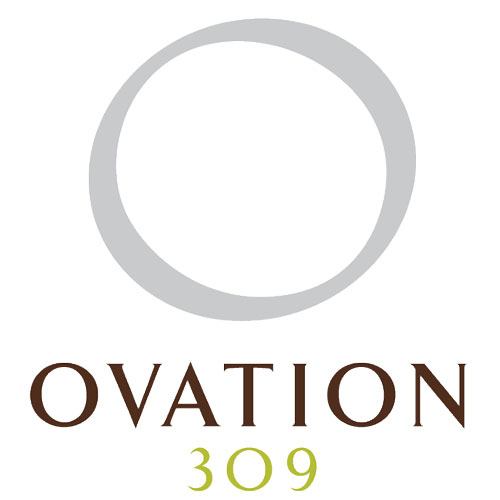 Ovation 309