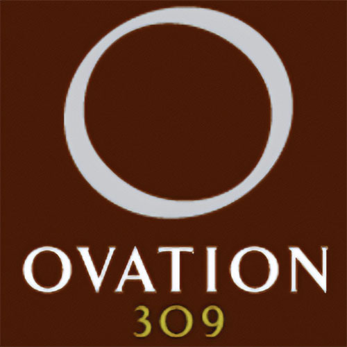 Ovation 309